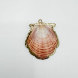 Natural Flat Shinny Shell with Gold Trim Charm