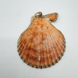 Natural Shell with Gold Trim Orange Charm