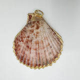 Natural Shell with Gold Trim Speckled Charm